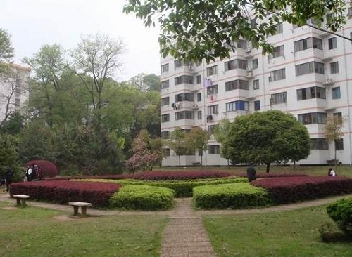 江夏绿色工程学校.jpg