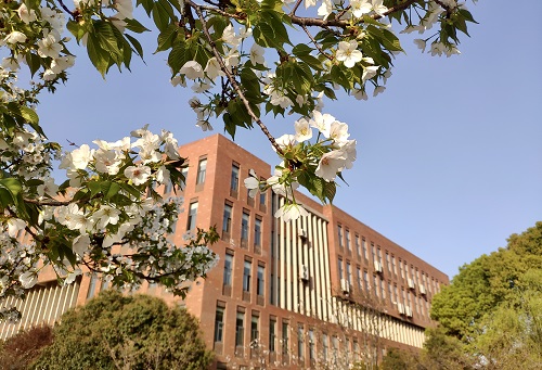 武汉科技大学城市学院.jpg